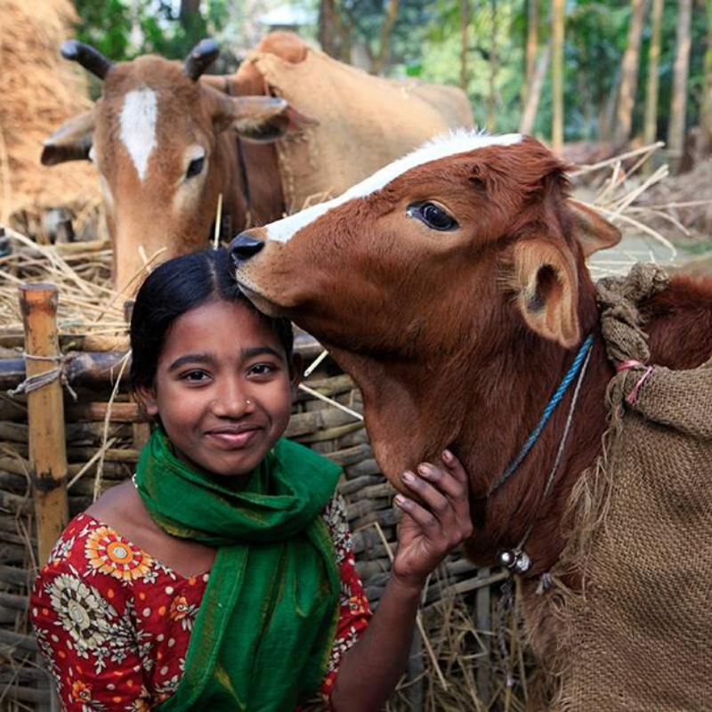 Heifer International. 